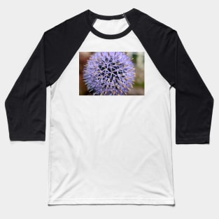 Small Globe Thistle 7 Baseball T-Shirt